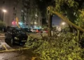 Трагедија – Невреме во Нови Сад, страдаше 12 годишно дете