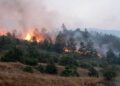 Изгаснат пожарот во атарот на Богданци