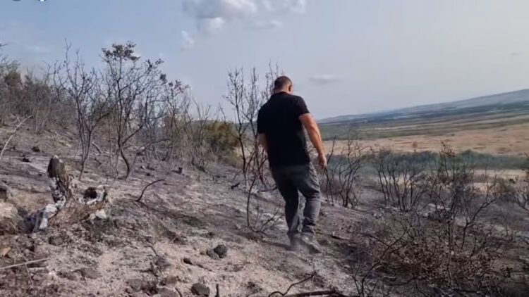 Пожарот долж границата со Грција е целосно ликвидиран – изгоре над 200 хектари шумски појас