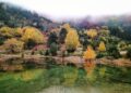 Наградена фотографија од конкурсот „Кожуф во есен“ на П.Пубреклиев