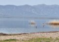 Започна капачката сезона во Дојран