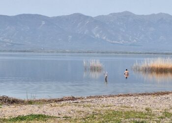 Започна капачката сезона во Дојран