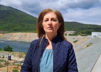 Стефановска: СДСМ гради иднина