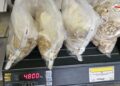 Видео: На ГБ „Богородица“ запленети 4,8 килограми злато при влез во државата