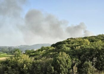 Пожарот во Дојран локализиран после 5 часовна интервенција на ДППД Дојран