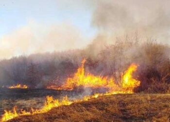 Три пожари во еден ден во Гевгелија