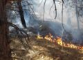 Локализиран пожарот помеѓу селата Негорци и Серменин