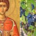 Закројување на лозјата во чест на Свети Трифун