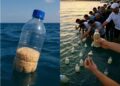 ВИДЕО: Египќаните фрлаат шишиња со храна во морето за да стигне до Газа