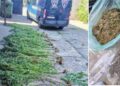 Притвор за дилер од Стојаково