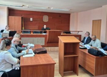 Три години затвор за гинекилогот кој изведе царскиот рез на родилка по што таа остана без бубрег, матка и јајник