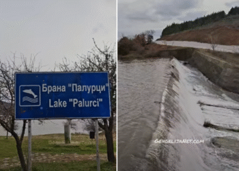 БРАНАТА ПАЉУРЦИ кај Богданци СЕ ПРЕЛЕА