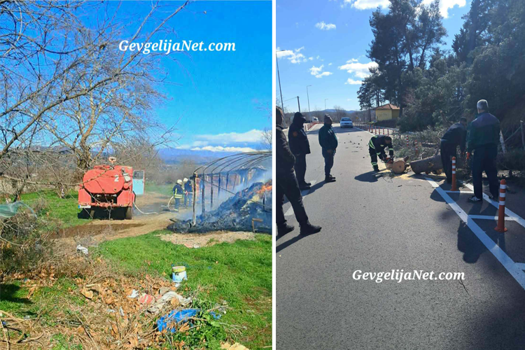 ФОТО: TППЕ Гевгелија со 14 интервенции за 24h по ветровитата ноќ во Гевгелија