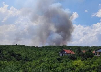 ЦУК: Пожарот во Дојран се прошири кон месноста Владаја, Стар Дојран