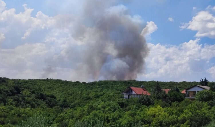 ЦУК: Пожарот во Дојран се прошири кон месноста Владаја, Стар Дојран