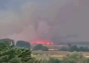 Пожар во атарот на Стојаково, во близина на ветерниот парк
