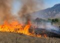 Пожар во Дојран, огнот се шири кон границата со Грција