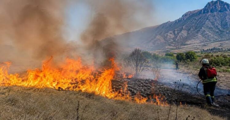 Пожар во Дојран, огнот се шири кон границата со Грција