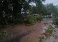 ФОТО: Невреме во Дојран