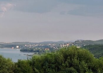 Пожарот во Стар Дојран ставен под контрола