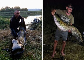 Уловен СОМ КАПИТАЛЕЦ во водите на Селемлијска брана