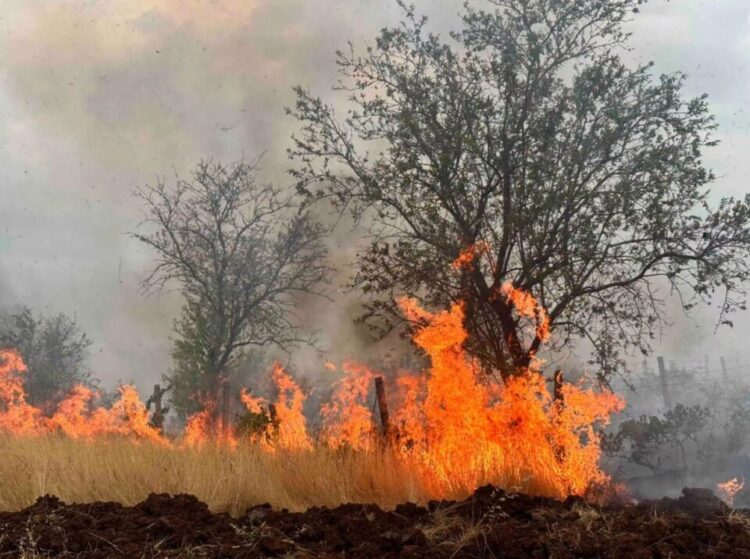 Повторно пожар во атарот на с.Стојаково