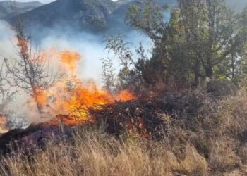 Во еден ден два пожари на отворен простор во гевгелиско