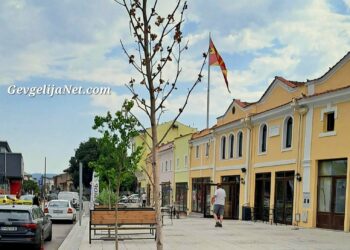 Гевгелија утрово ја дочека есента со 13,9 степени Целзиусови