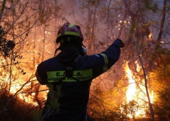 Два пожара во еден ден – ТППЕ Гевгелија брзо им пресуди со ликвидација